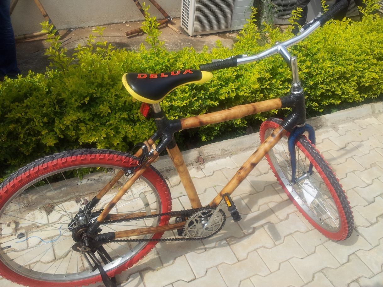 The Bamboo Bike