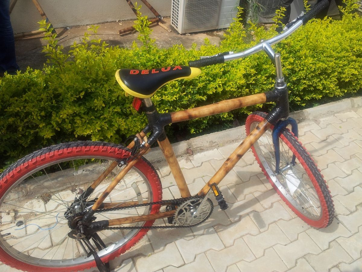 The Bamboo Bike